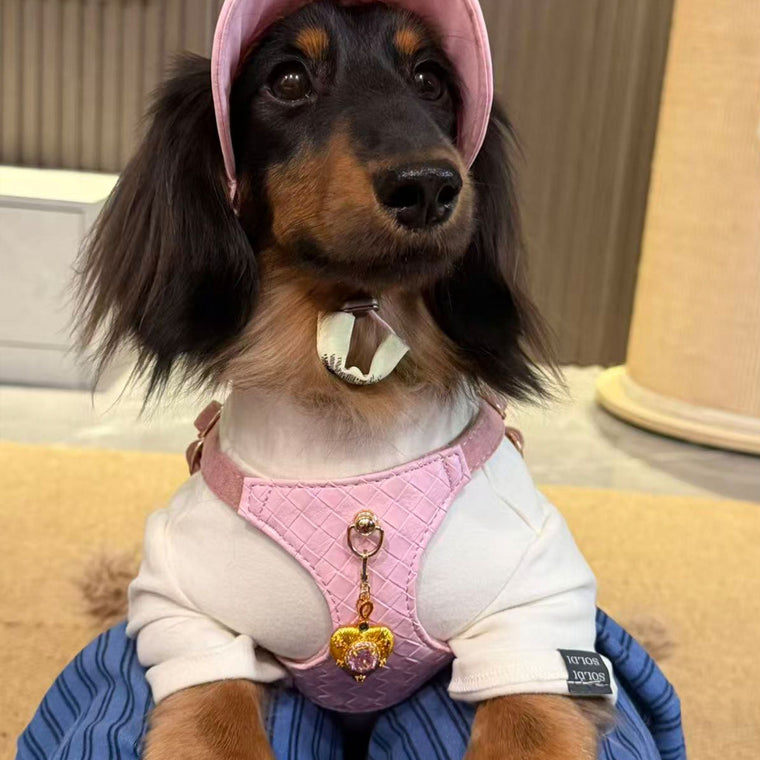 The Pendant Collection: A New Way to Style Your Pet’s Collar
