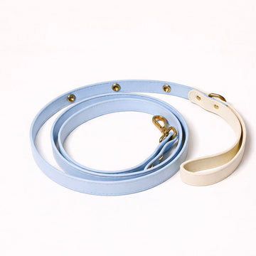Your Pet's Collar Should Change as Much as They Do
