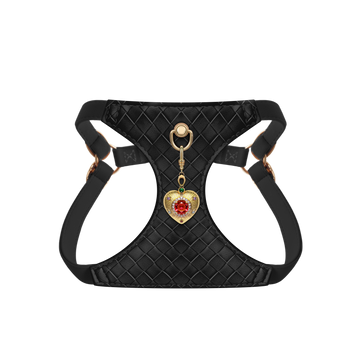 Onyx Weave Pendant Dog Harness Set