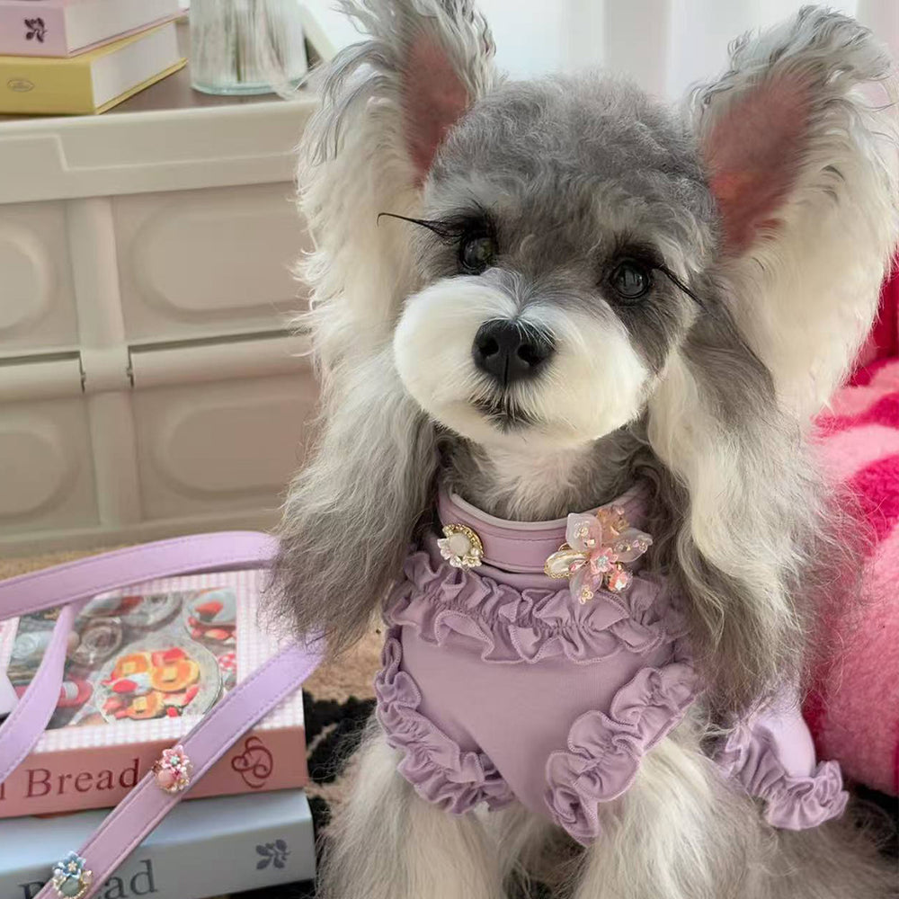 Customer pet wearing a pink Tail & Whisker collar