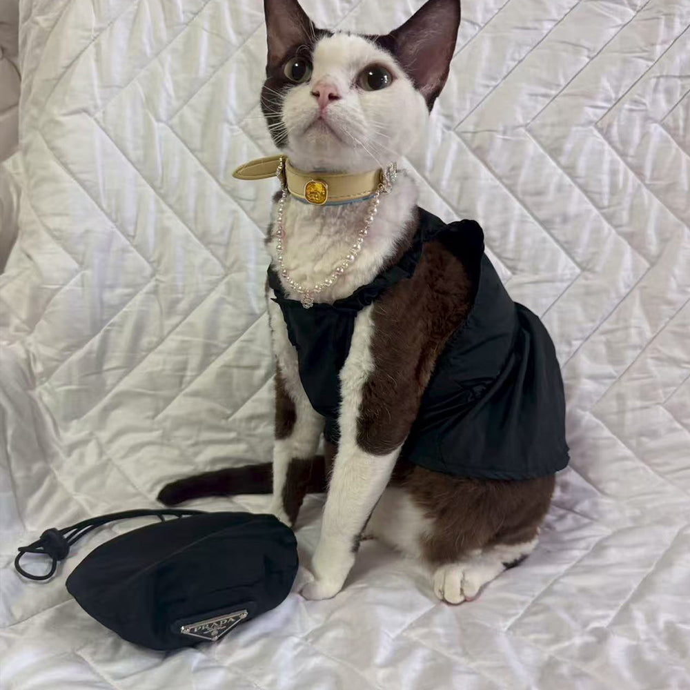 Customer pet styled with Tail & Whisker accessories