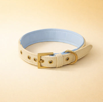 Blue & Cream Yellow Dog Collar