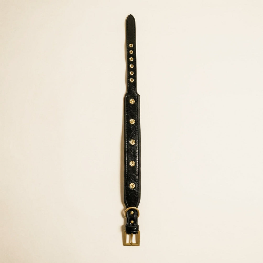 Black & Gold Dog Collar