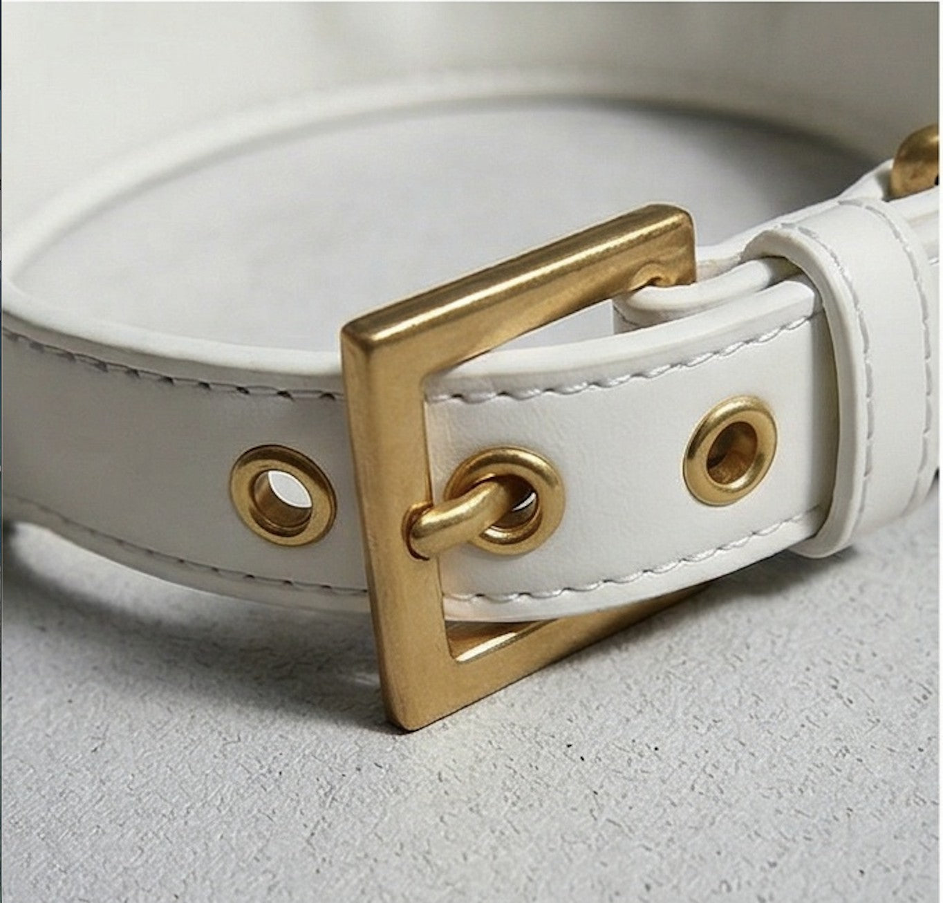 White & Gold Dog Collar