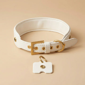 White & Gold Dog Collar