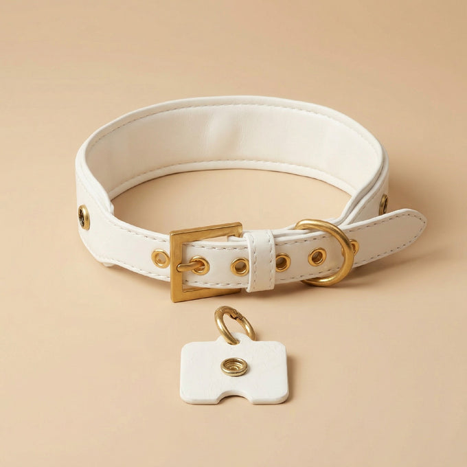 White & Gold Dog Collar | Tail & Whisker