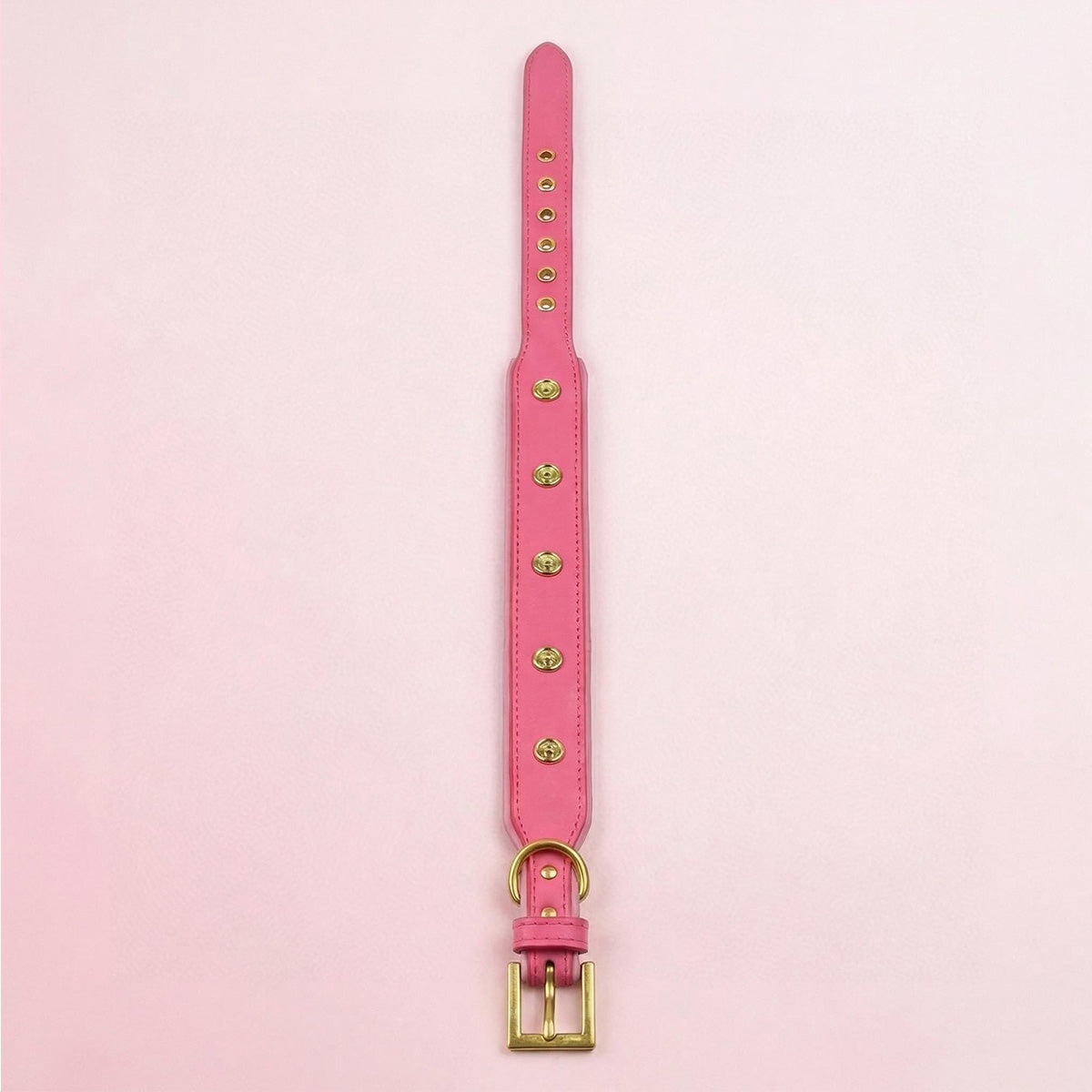 Bubblegum Pink Collar