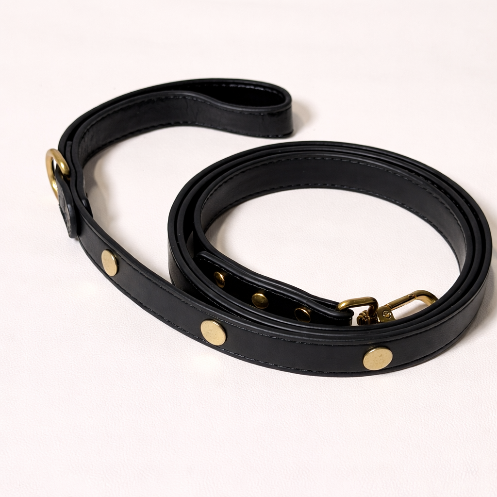 Black Leather Dog Leash