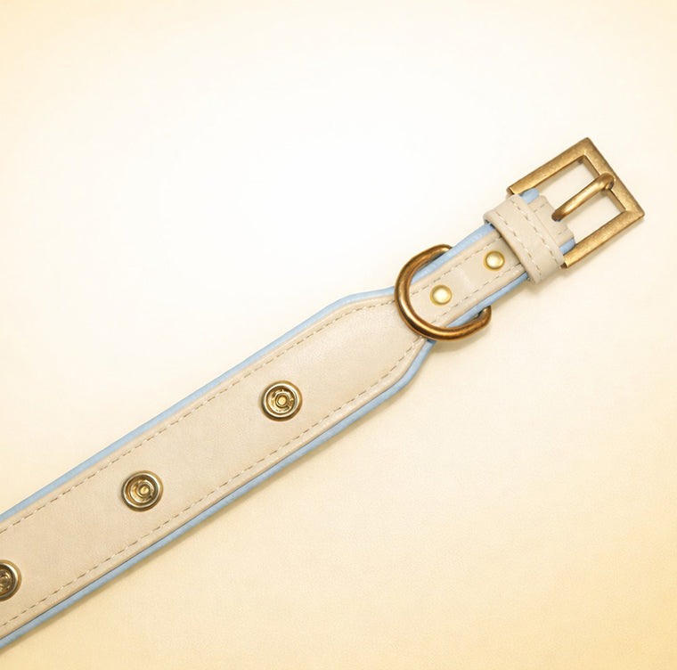 Blue & Cream Yellow Dog Collar