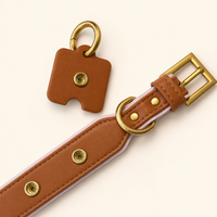 Toffee Blush Dog Collar | Tail & Whisker