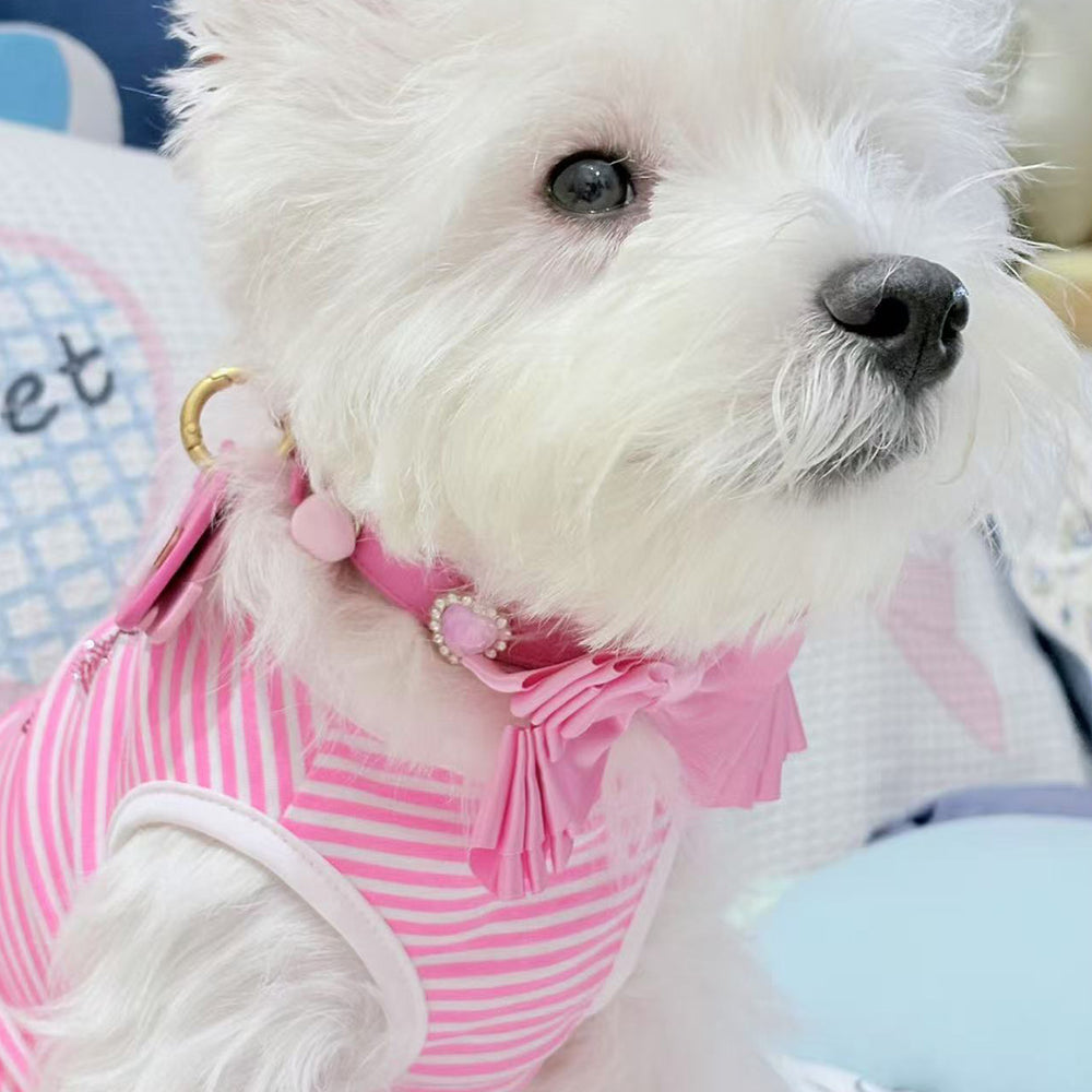 Customer pet wearing a pink Tail & Whisker collar