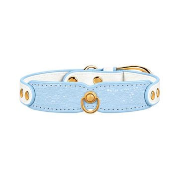 Ice Blue Pendant Dog Collar