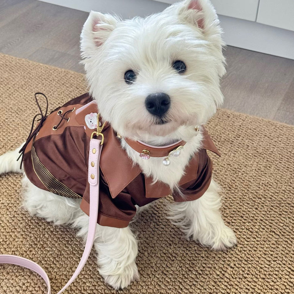 Customer pet styled with Tail & Whisker accessories