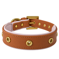 Toffee Blush Dog Collar | Tail & Whisker