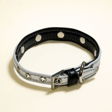Silver & Black Dog Collar