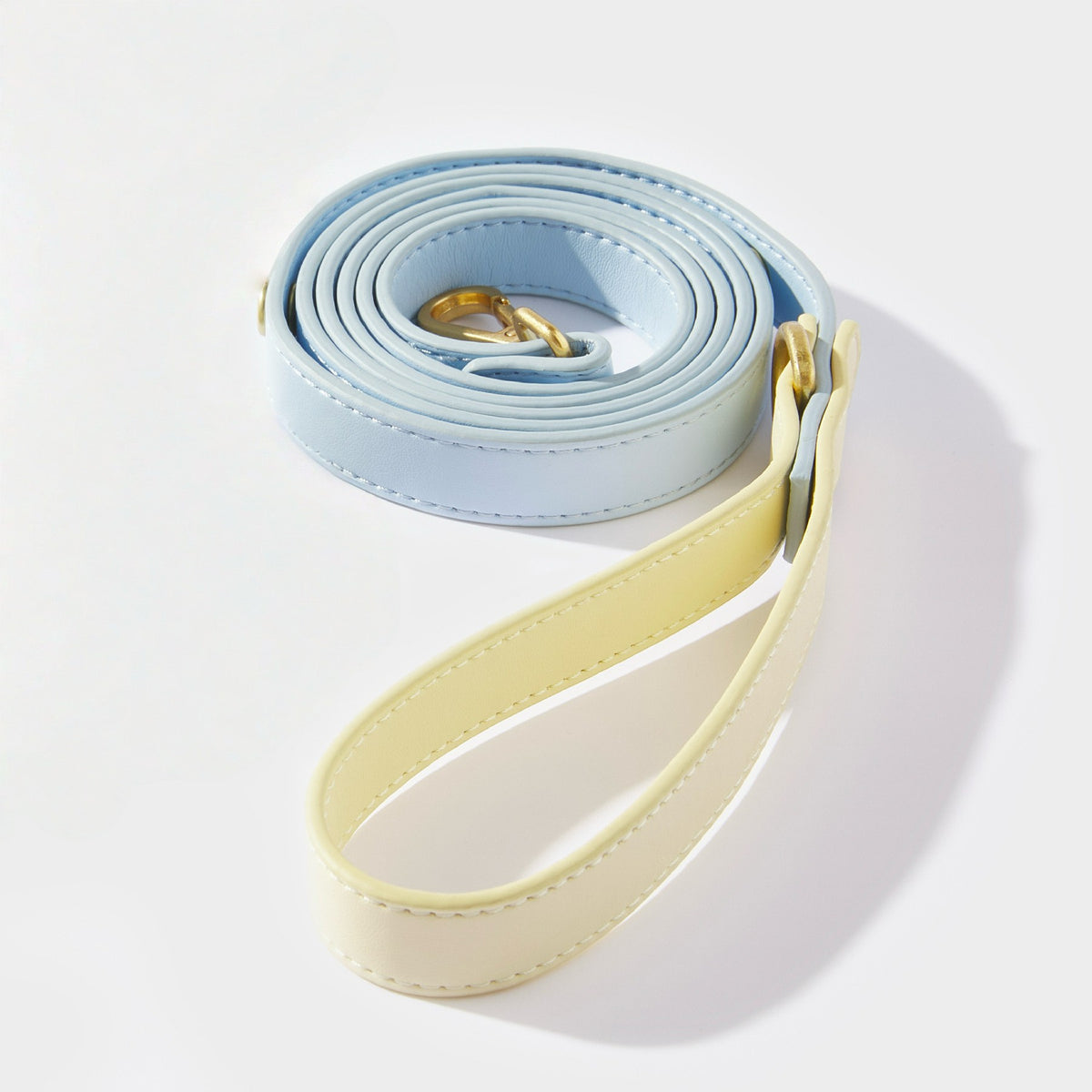 Blue & Cream Dog Leash - detail view