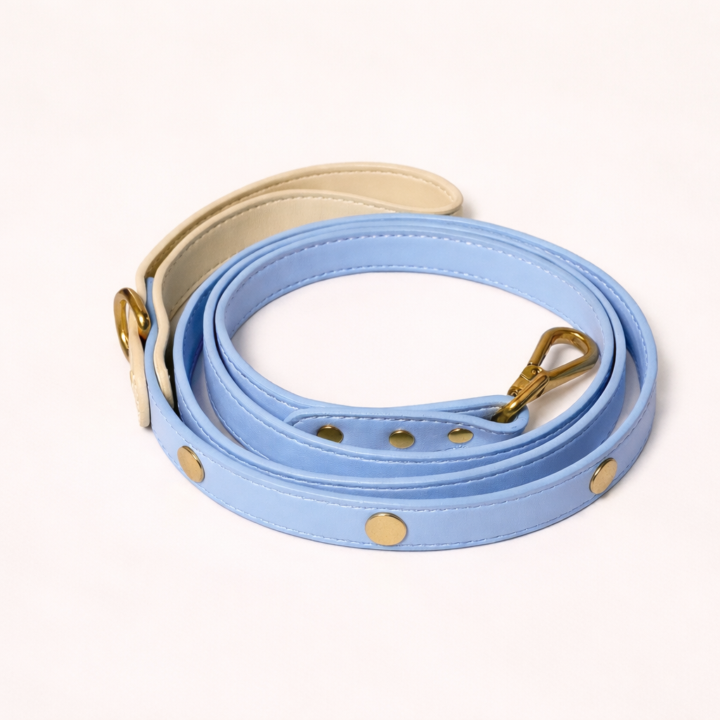 Blue & Cream Dog Leash - alternate view