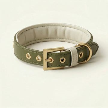 Olive Green Leather Dog Collar