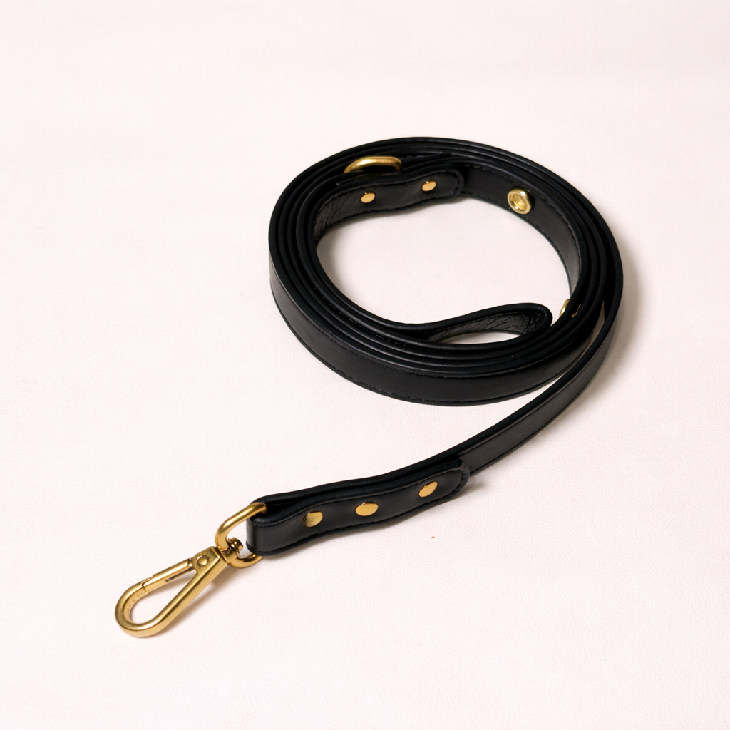 Black Leather Dog Leash
