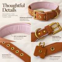 Toffee Blush Dog Collar | Tail & Whisker