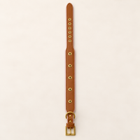 Toffee Blush Dog Collar | Tail & Whisker