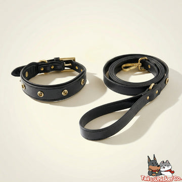 Black Leather Dog Leash