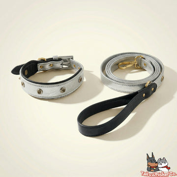 Silver & Black Dog Leash