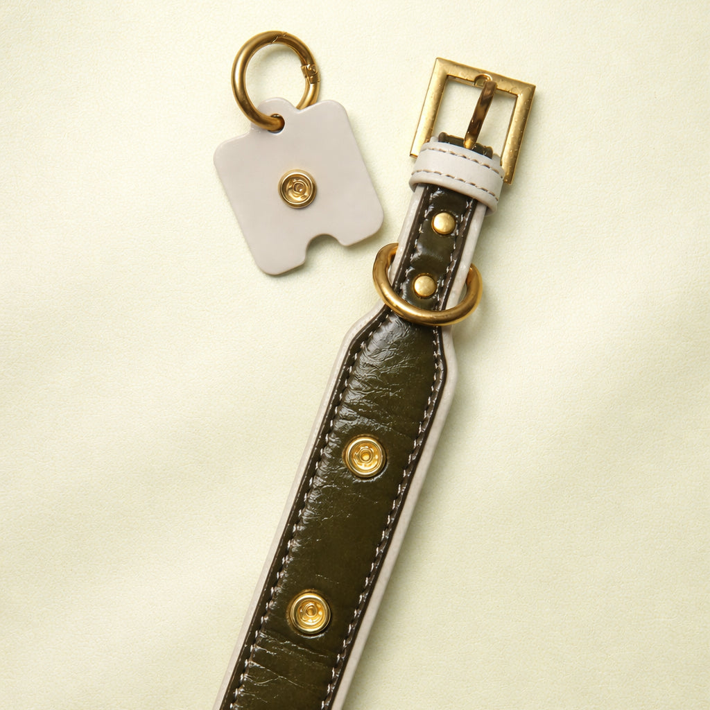 Olive Green Leather Dog Collar