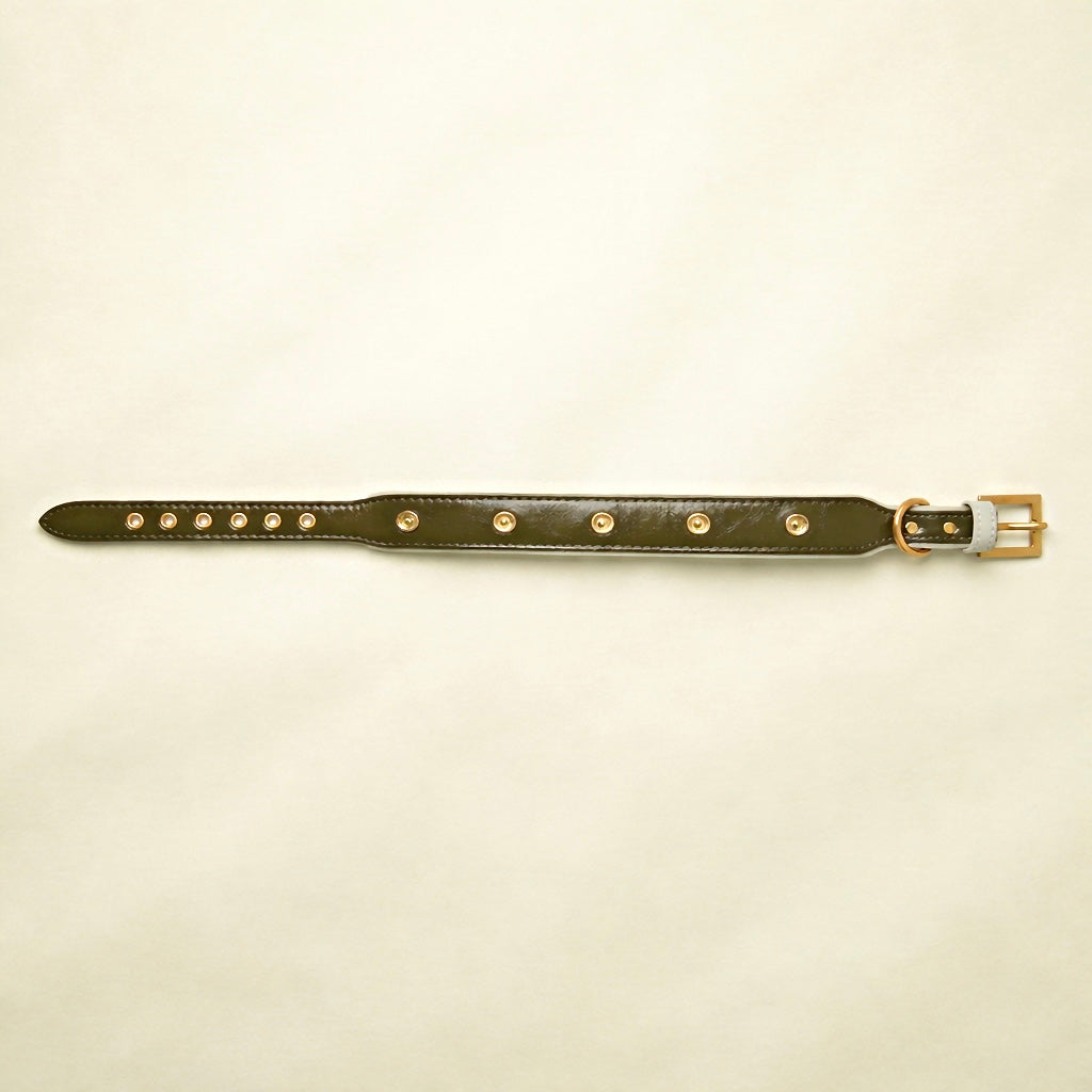 Olive Green Leather Dog Collar