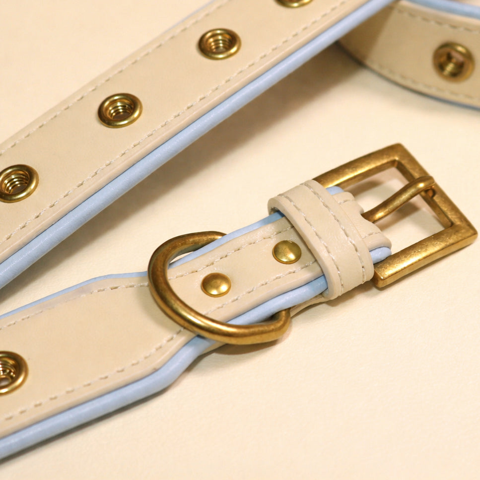 Blue & Cream Yellow Dog Collar
