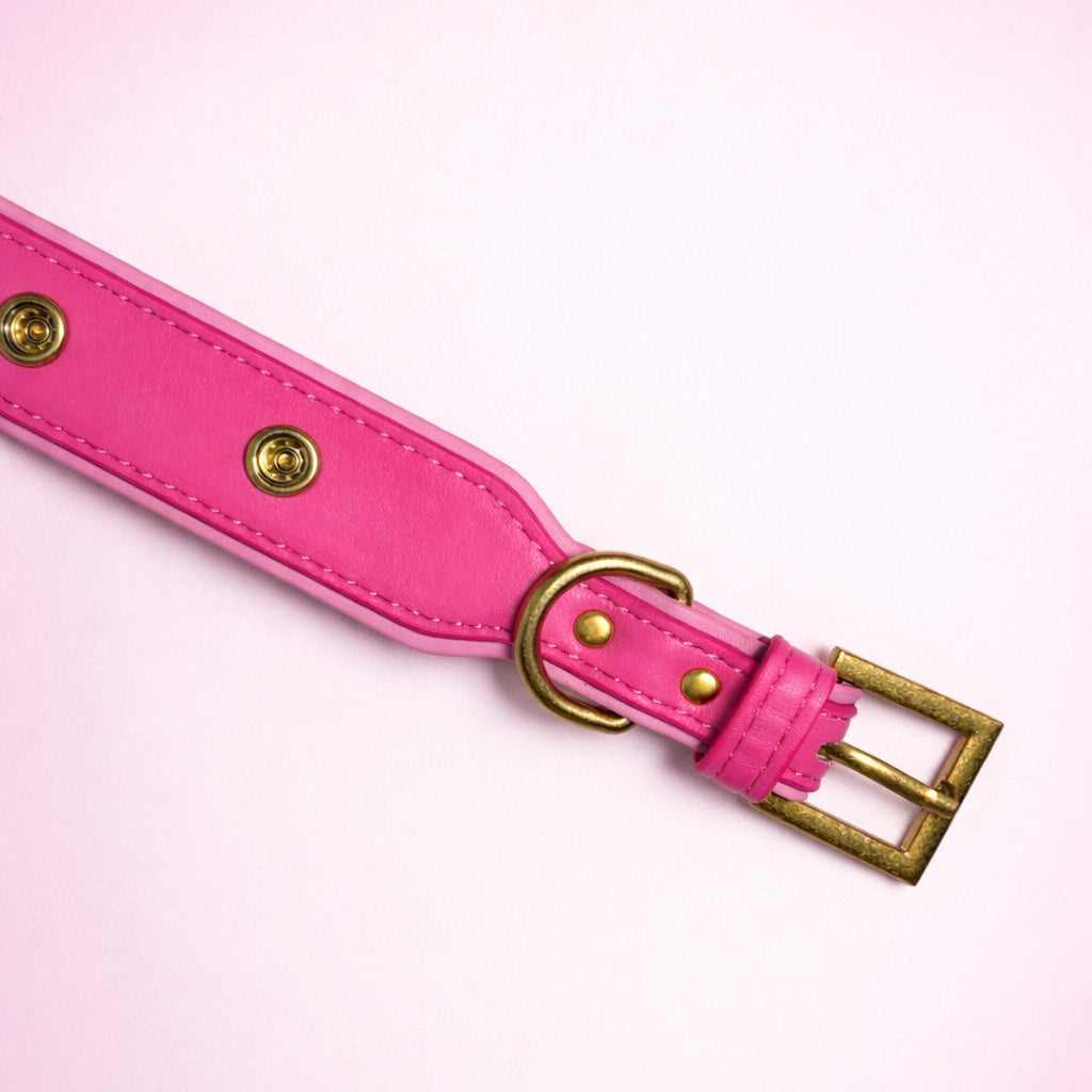 Bubblegum Pink Collar