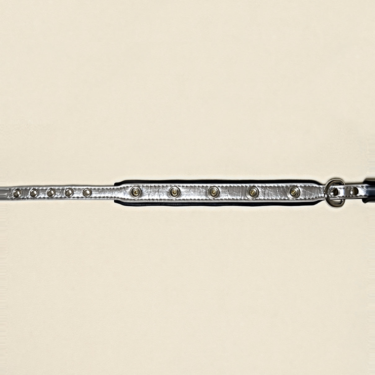 Silver & Black Dog Collar