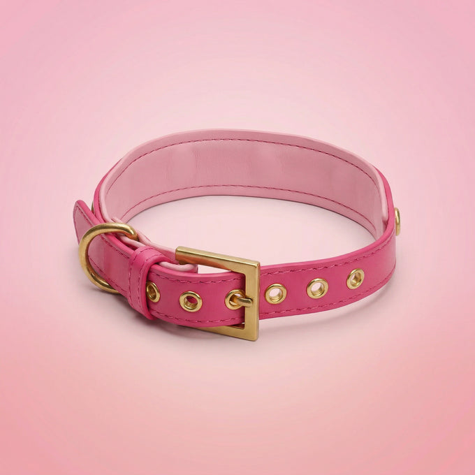 Bubblegum Pink Dog Collar | Tail & Whisker