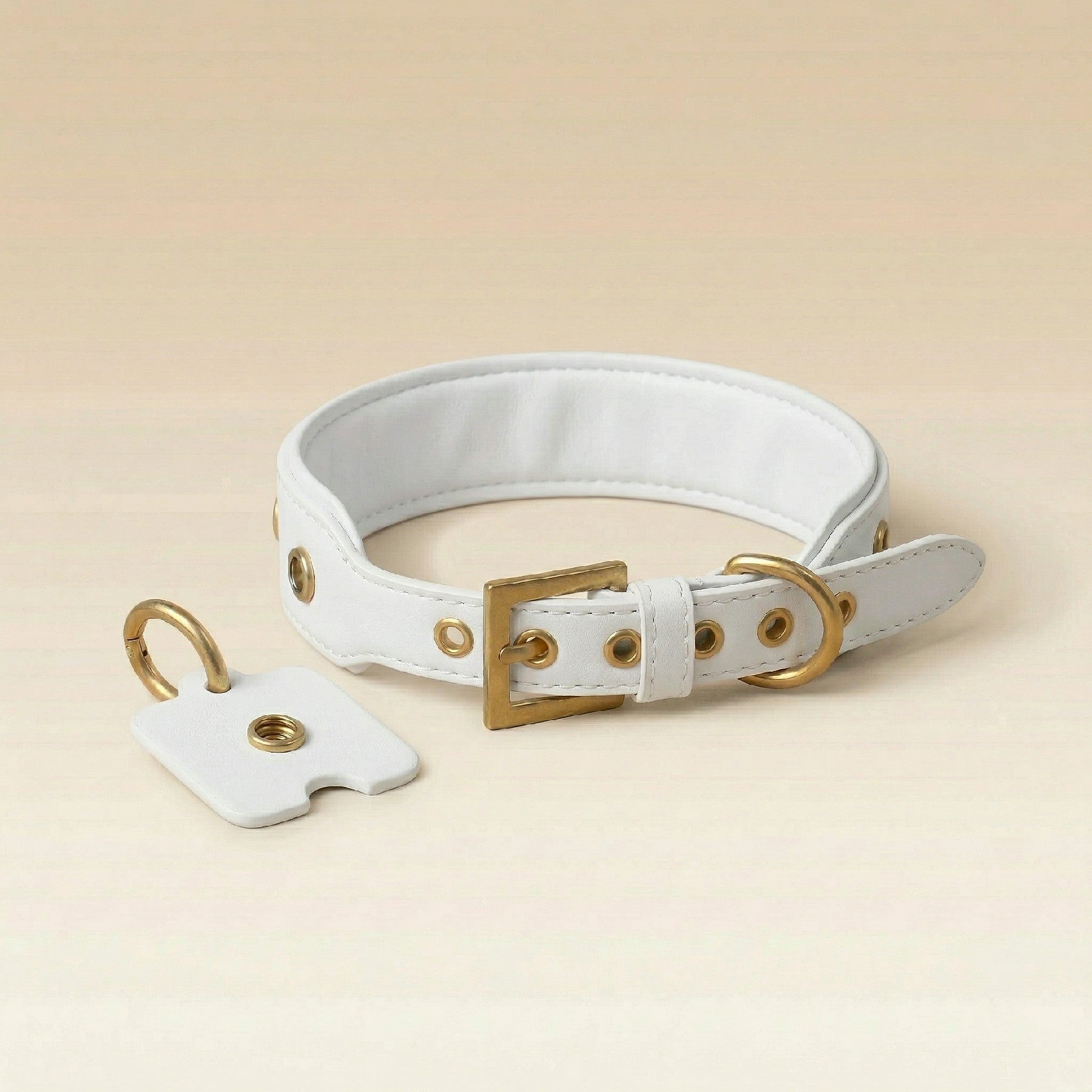 White & Gold Dog Collar