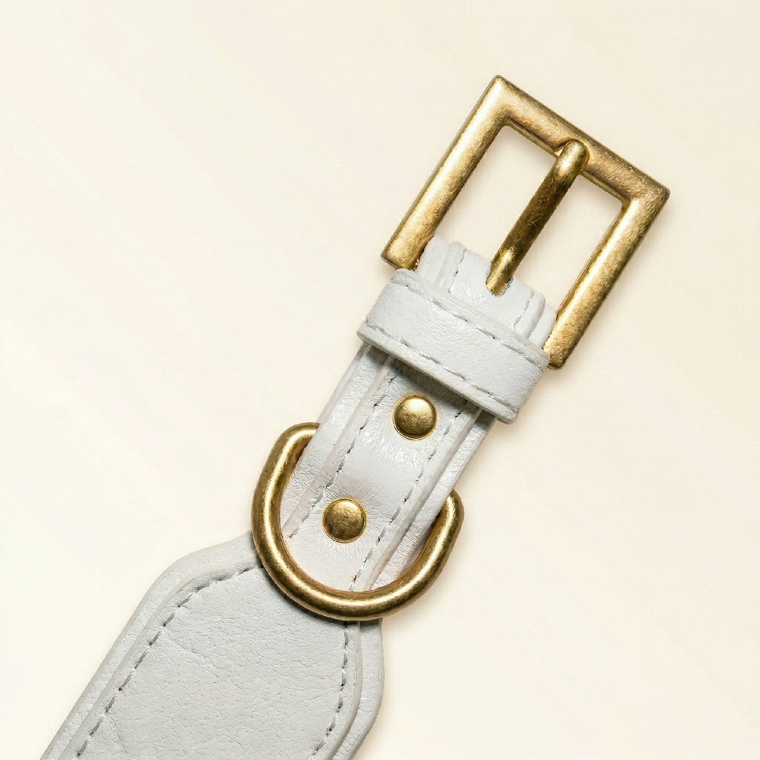White & Gold Dog Collar