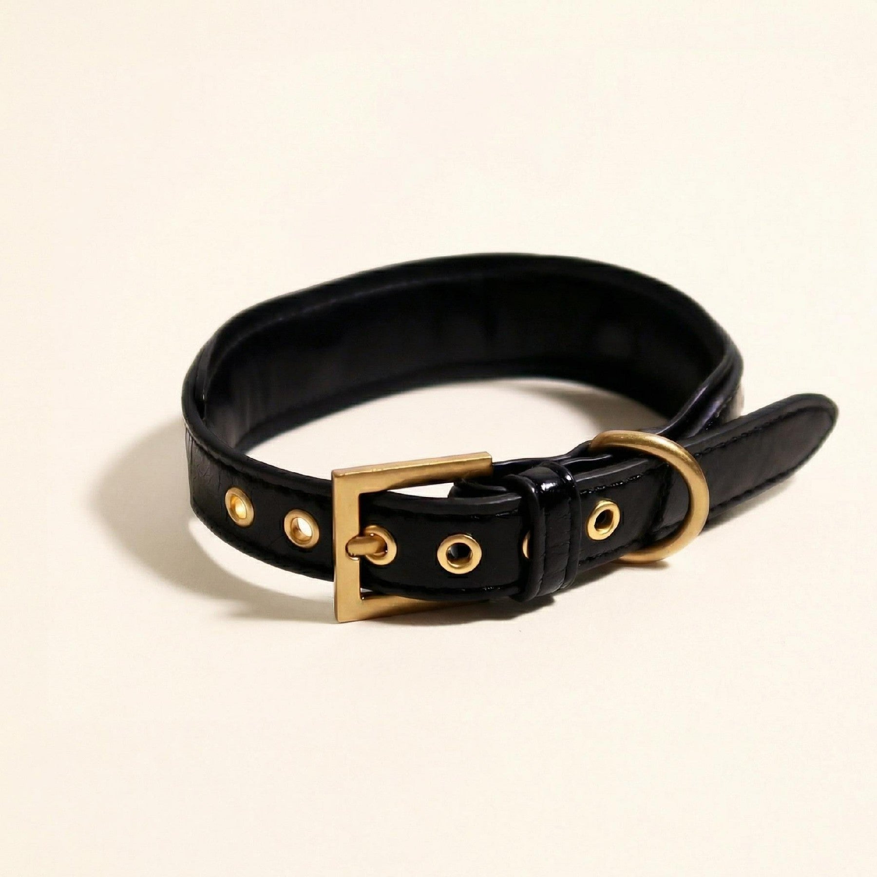 Black & Gold Dog Collar