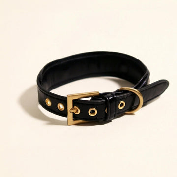 Black & Gold Dog Collar