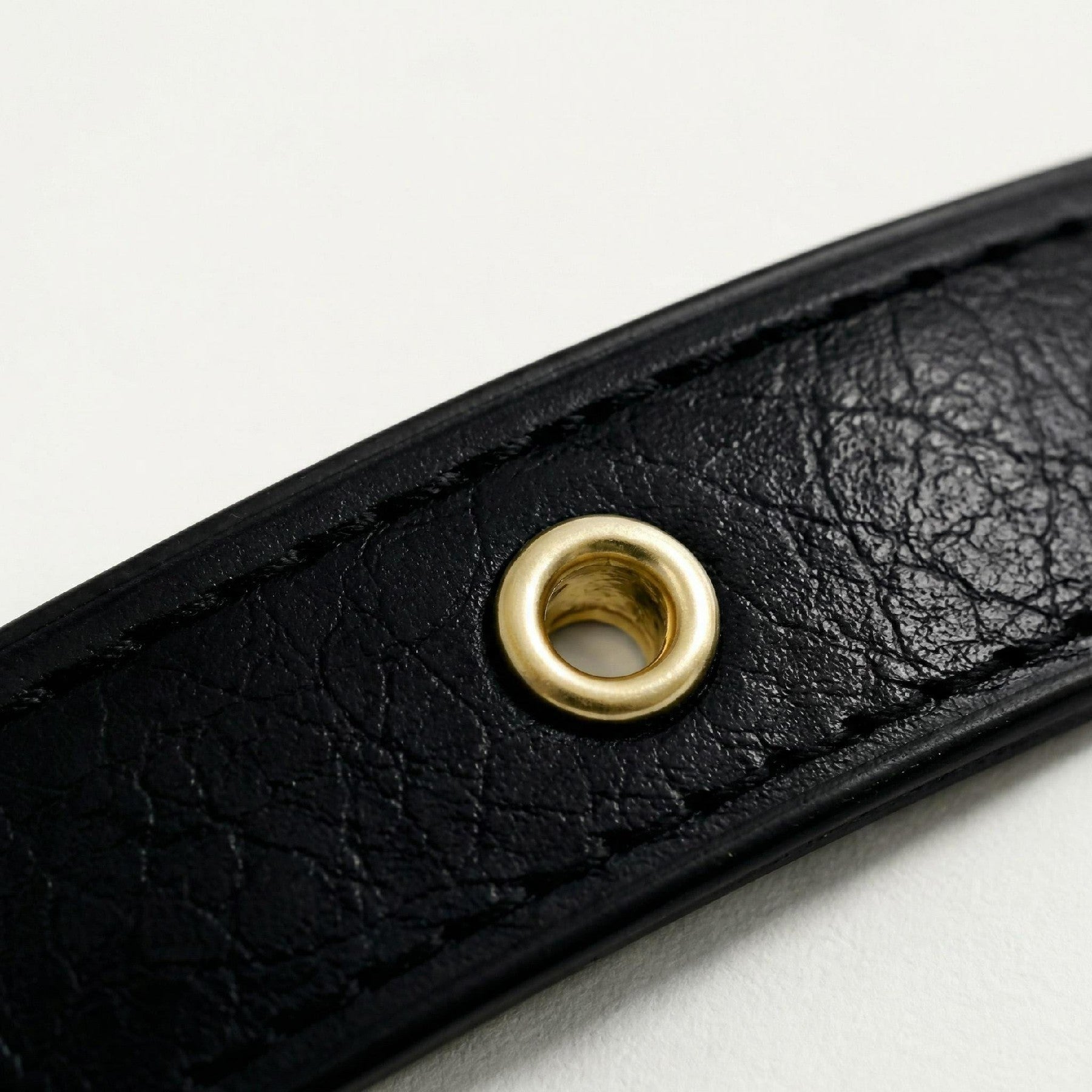 Black & Gold Dog Collar
