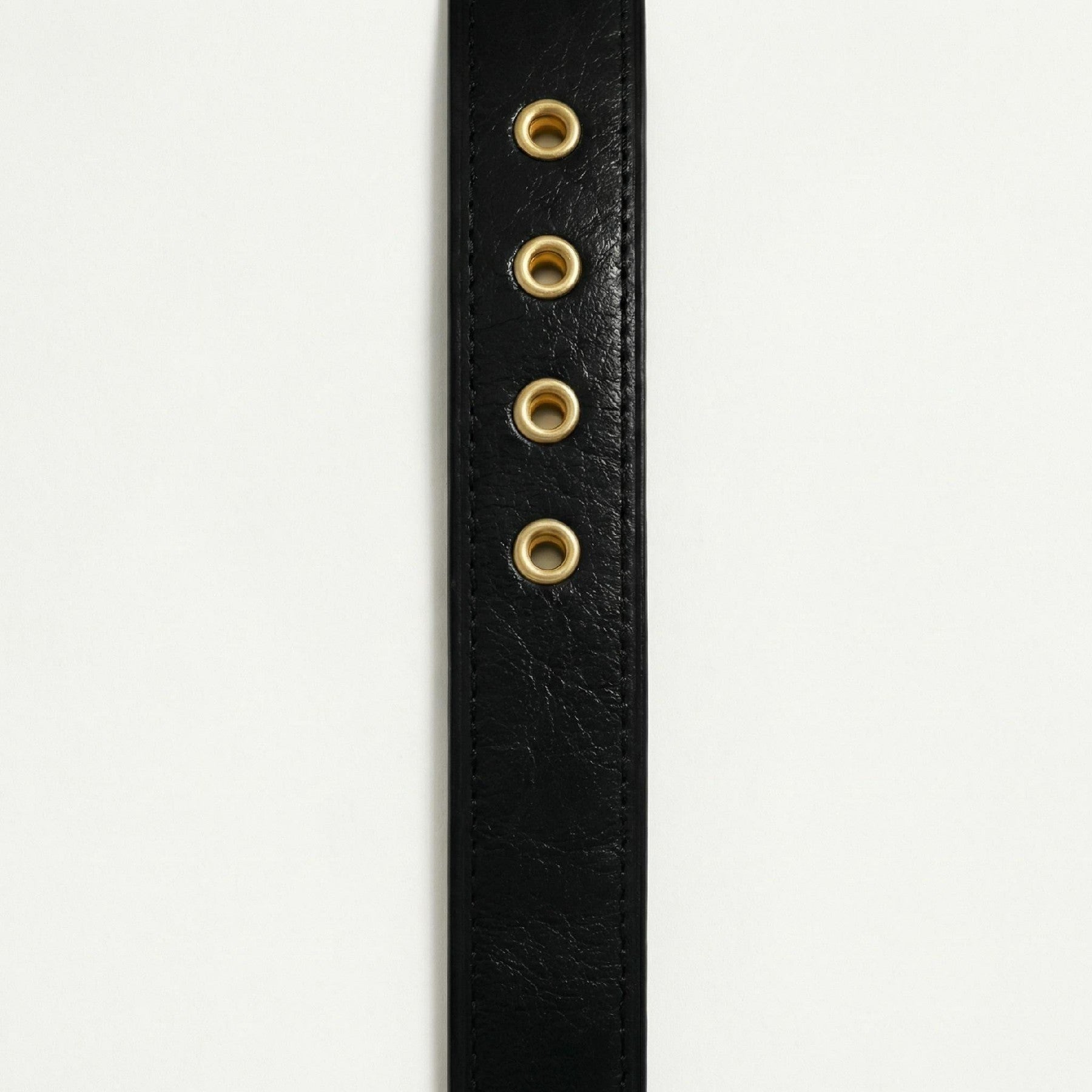 Black & Gold Dog Collar