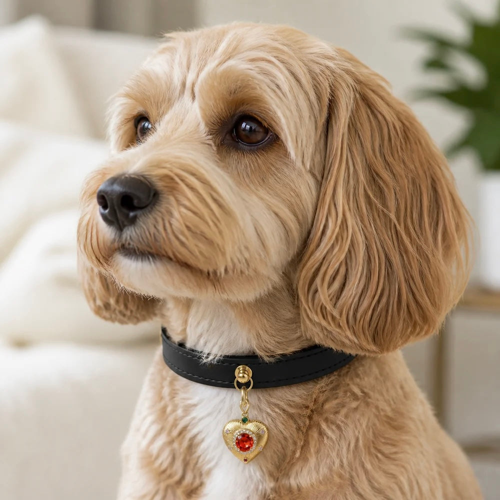 Onyx Black Pendant Dog Collar - alternate detail